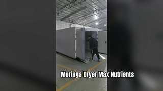 Secador com bomba de calor Coattech 7-HP | Desidratação Industrial de Moringa